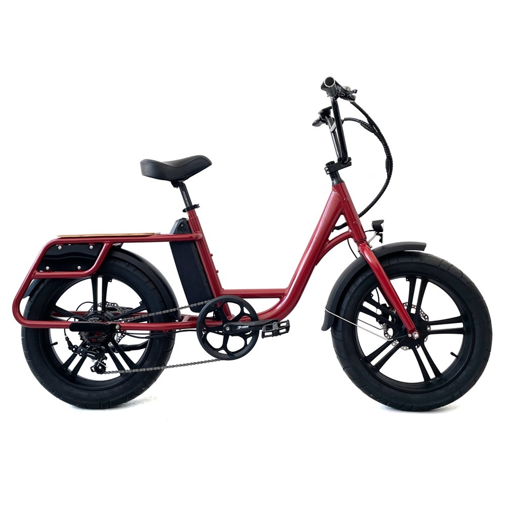 cargo ebike