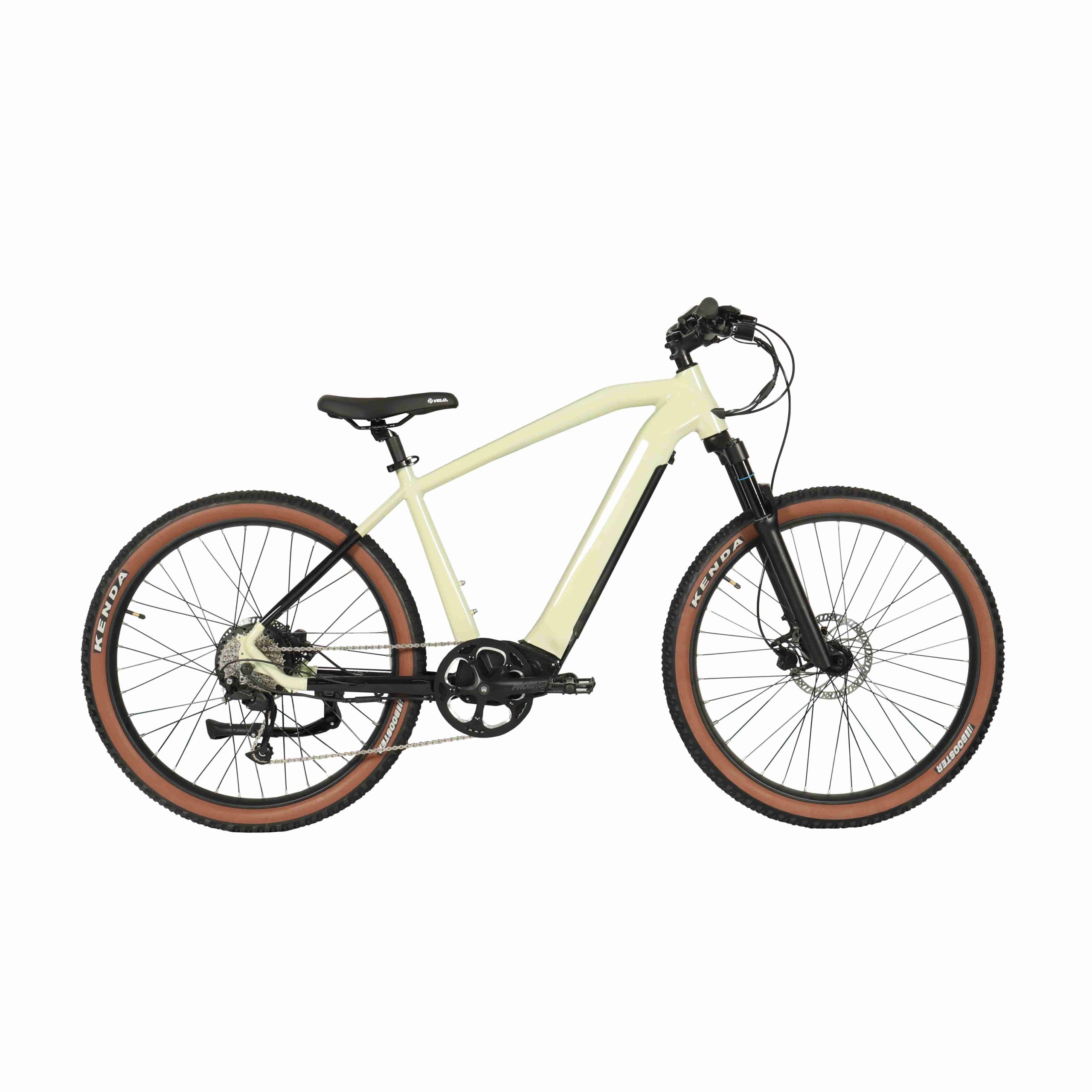 mountain ebike