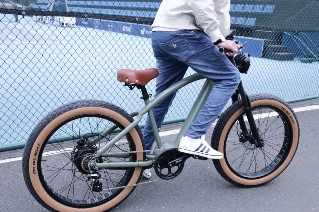 fat tire electric bike