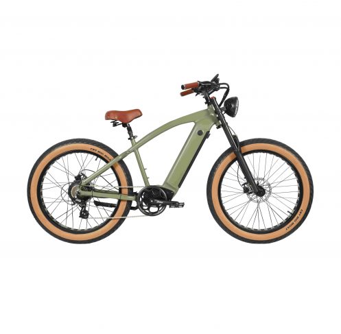 F10 fat tire electric bike